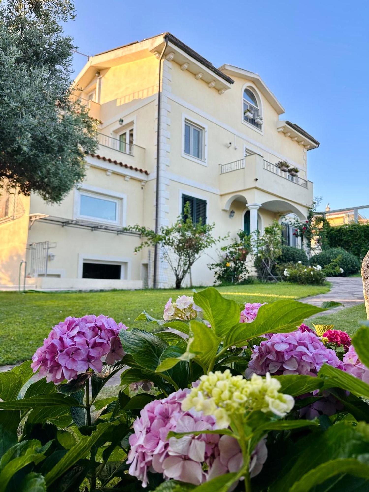 Villa Luce B&B オルビア エクステリア 写真